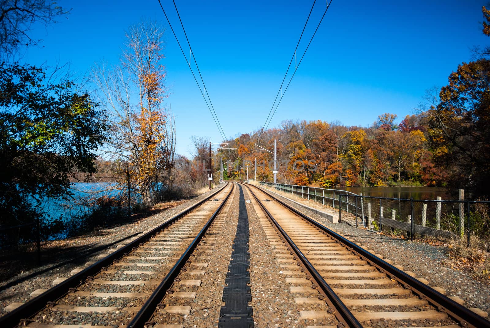 Photograph of double track railroad lines with vanishing perspective taken in autums with overhead catenary lines.