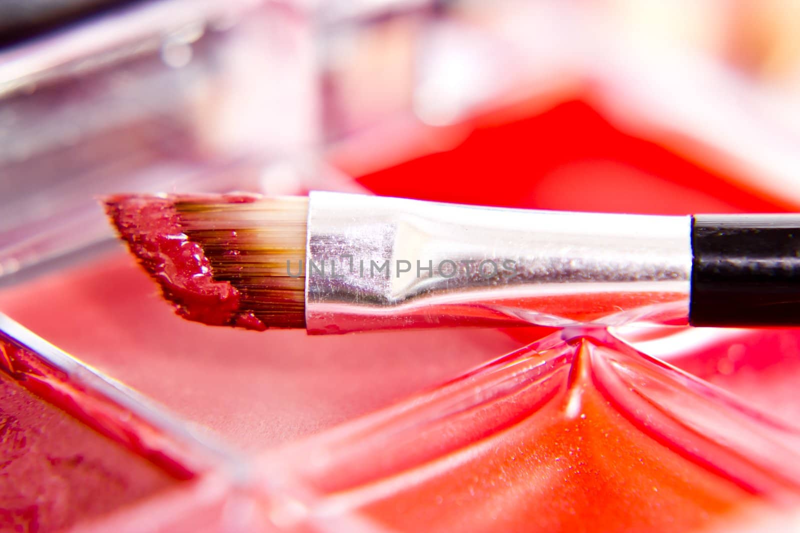 professional make-up lipstick set with brush