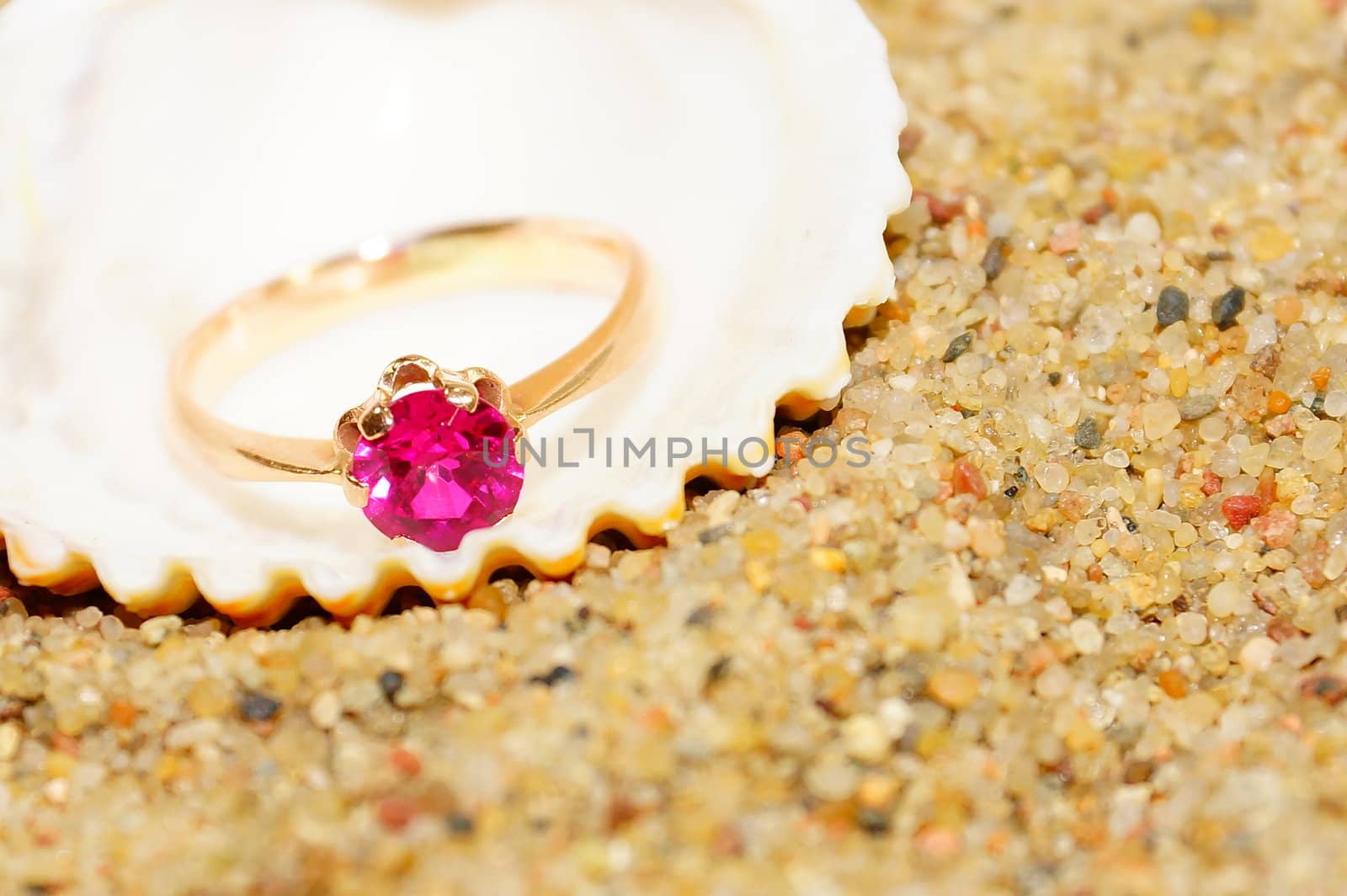 ring and sea shells on a sand