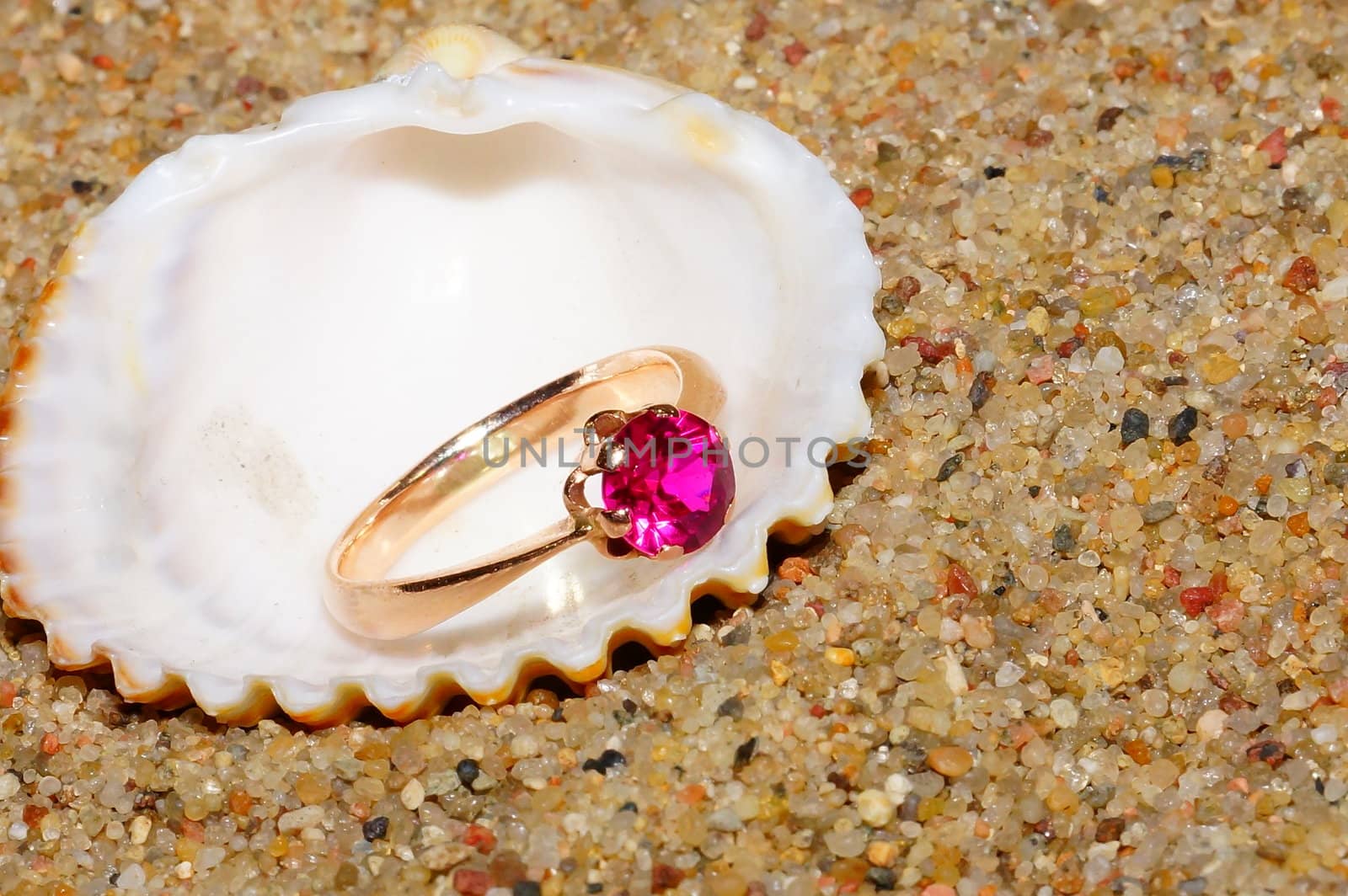 ring and sea shells on a sand