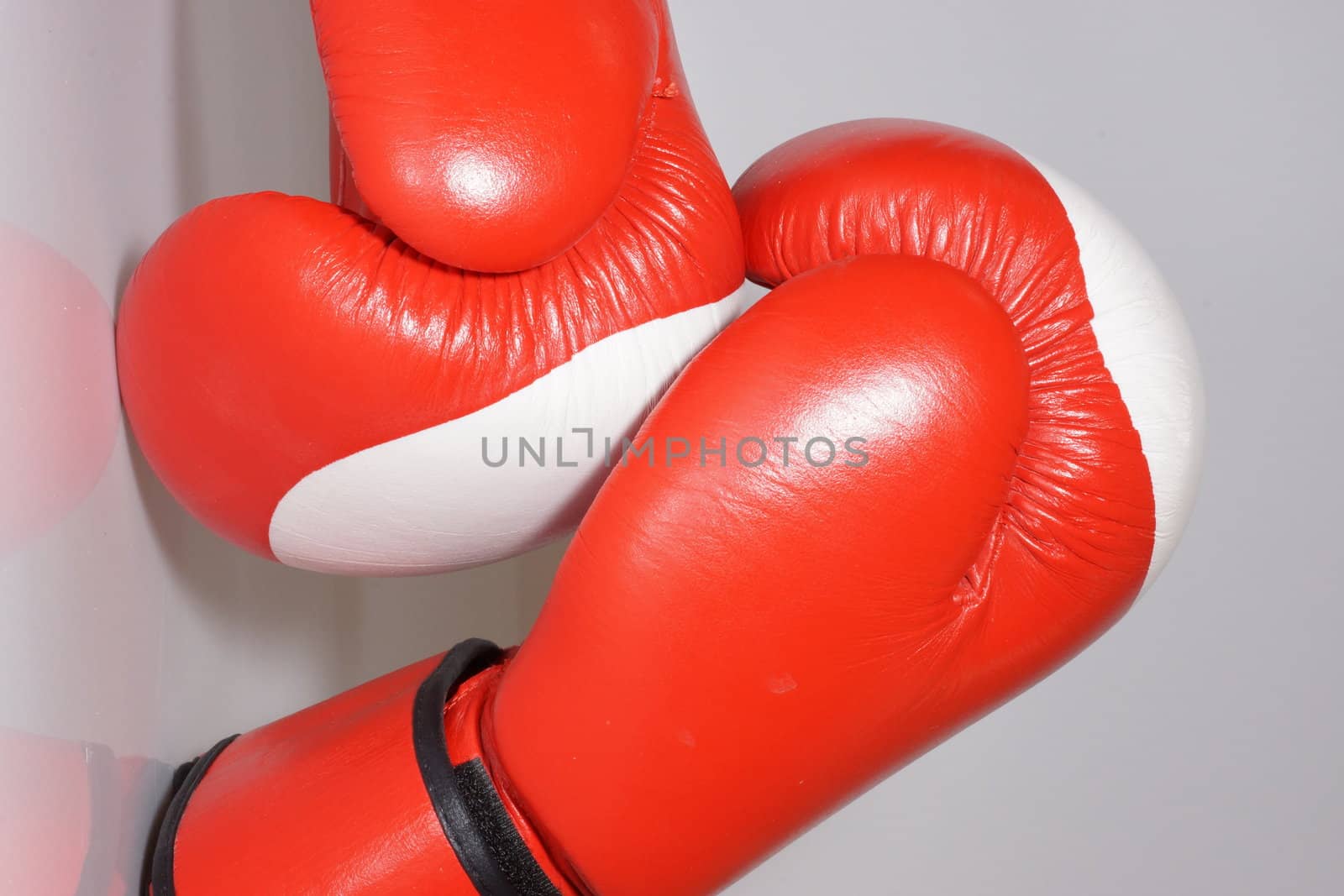 boxing gloves on a white background