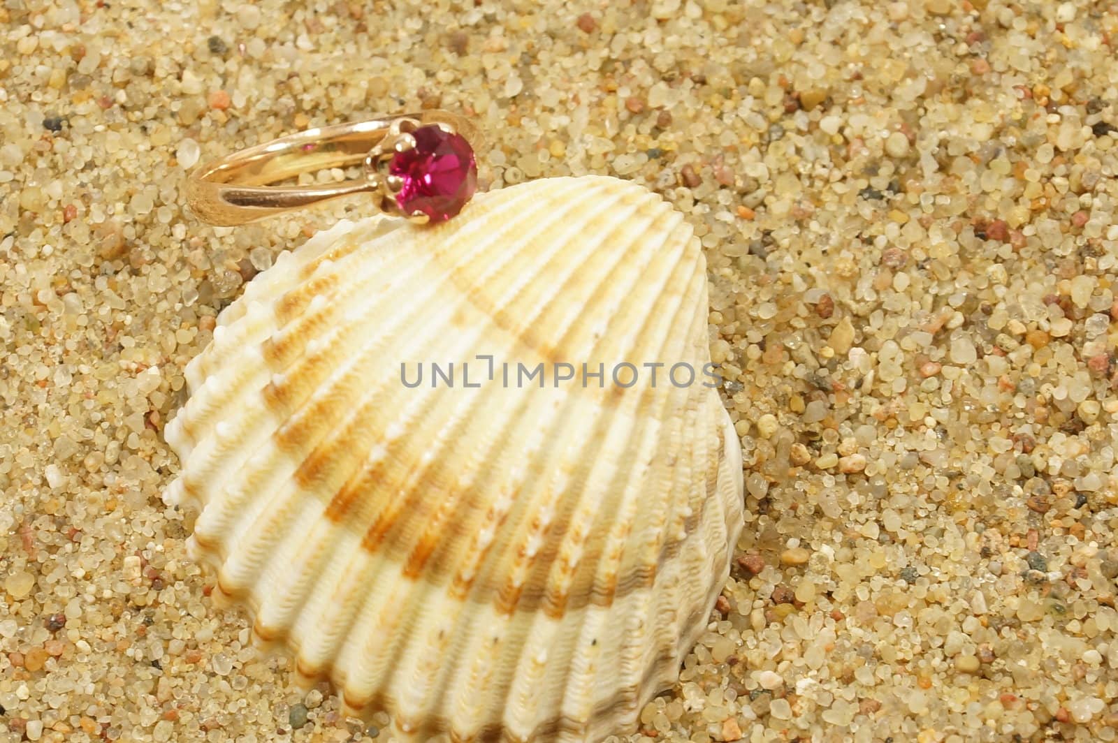 ring and sea shells on a sand