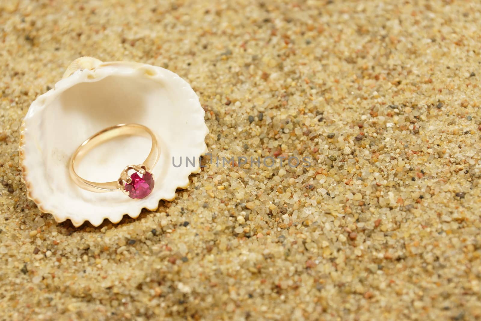 ring and sea shells on a sand