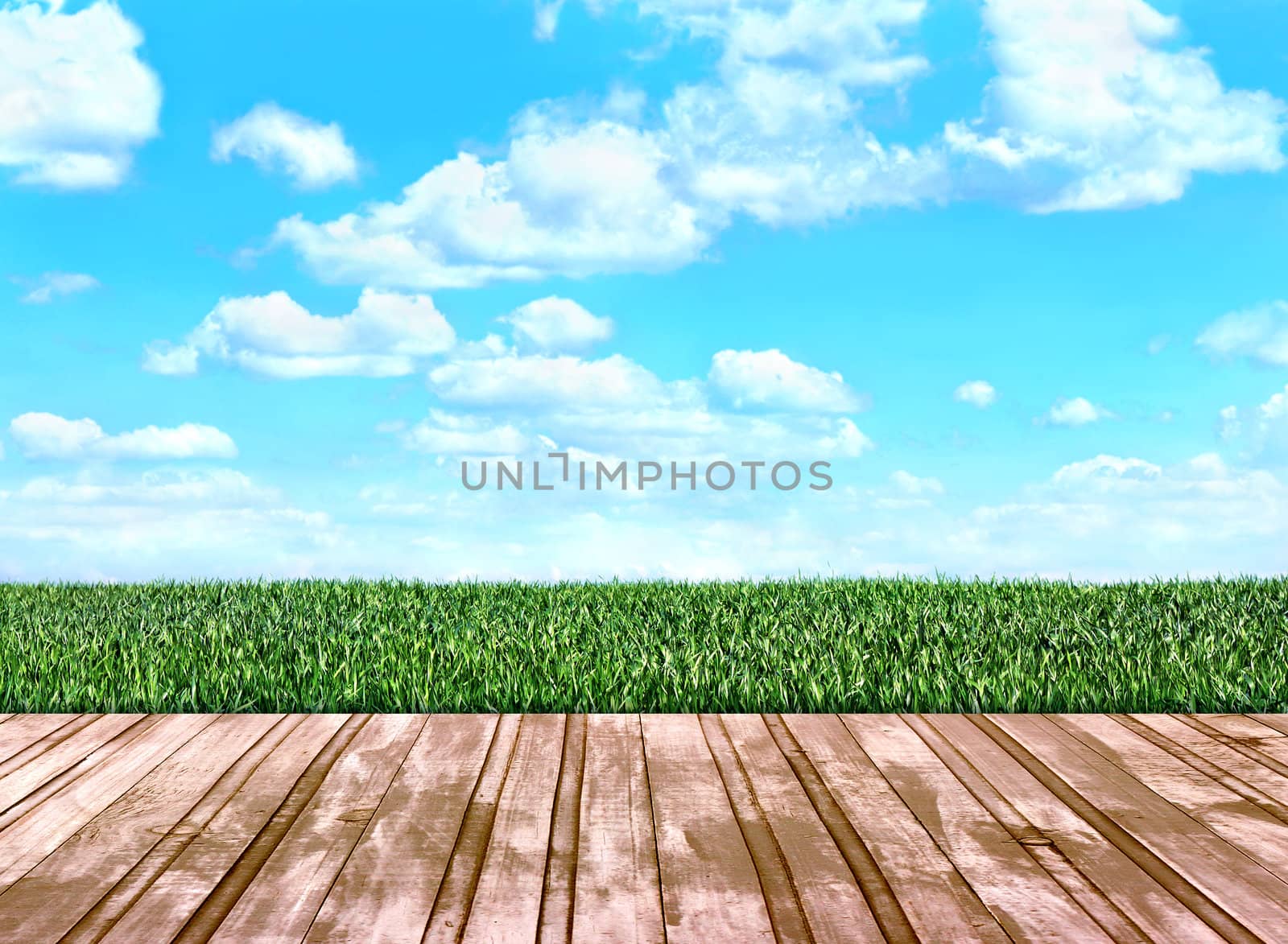 wooden floor boards that go on the field with green grass