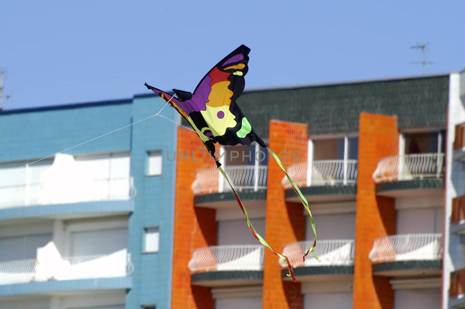 kite in a blue sky