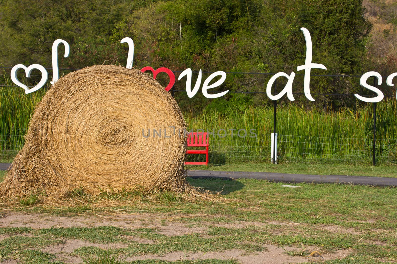 circle straw in the swiss sheep farm