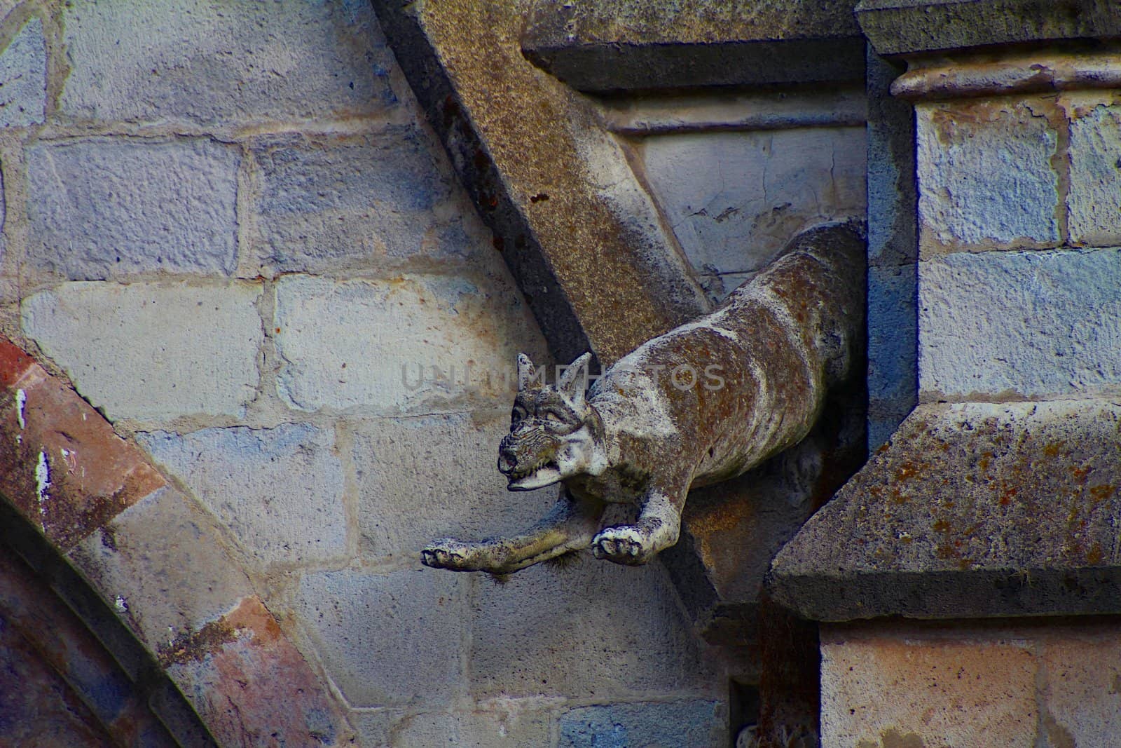 Fox gargoyle of the Basilica of the National Vow
