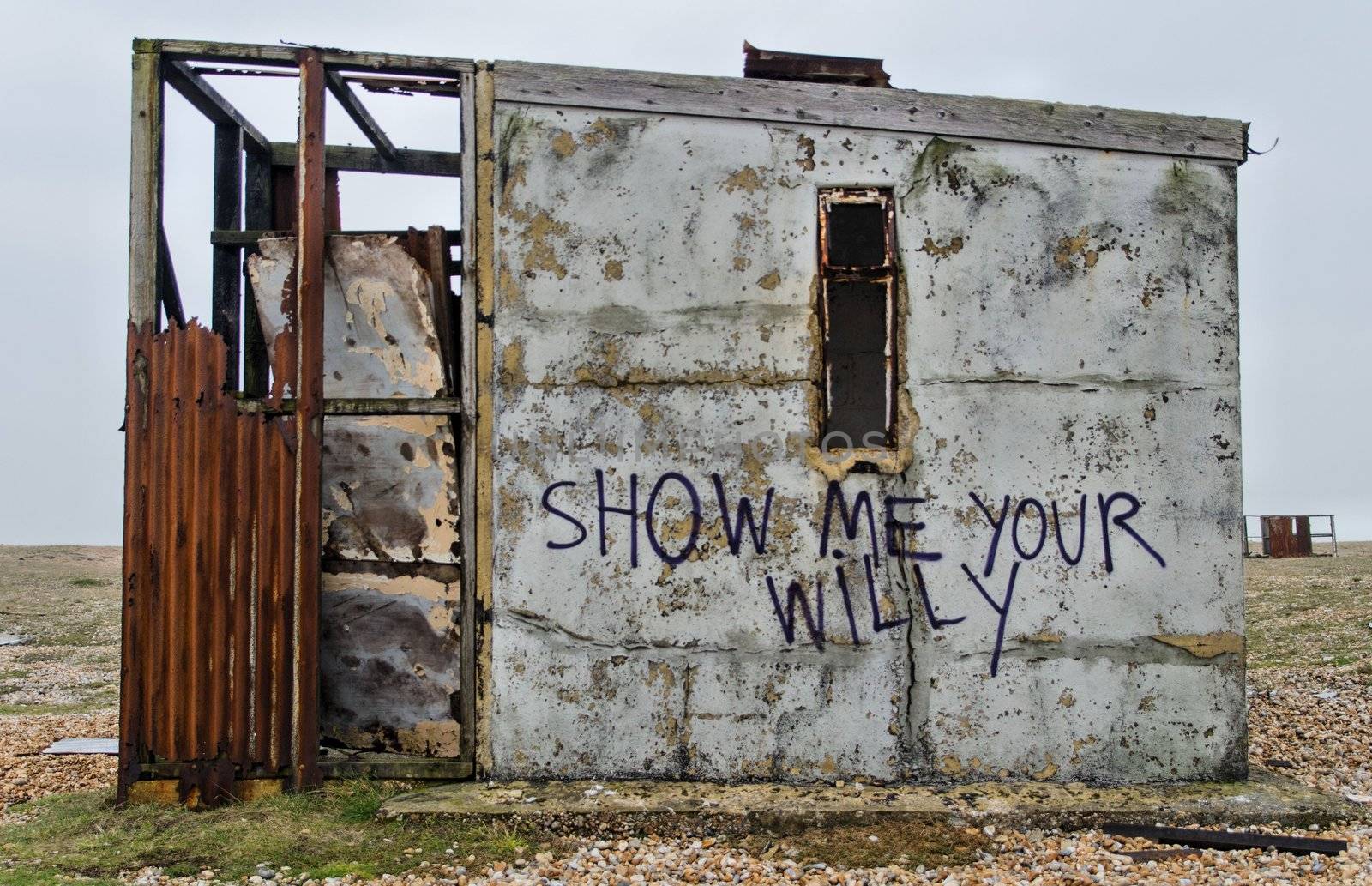 Show me your ..... , Graffiti on a derelict fishermans hut