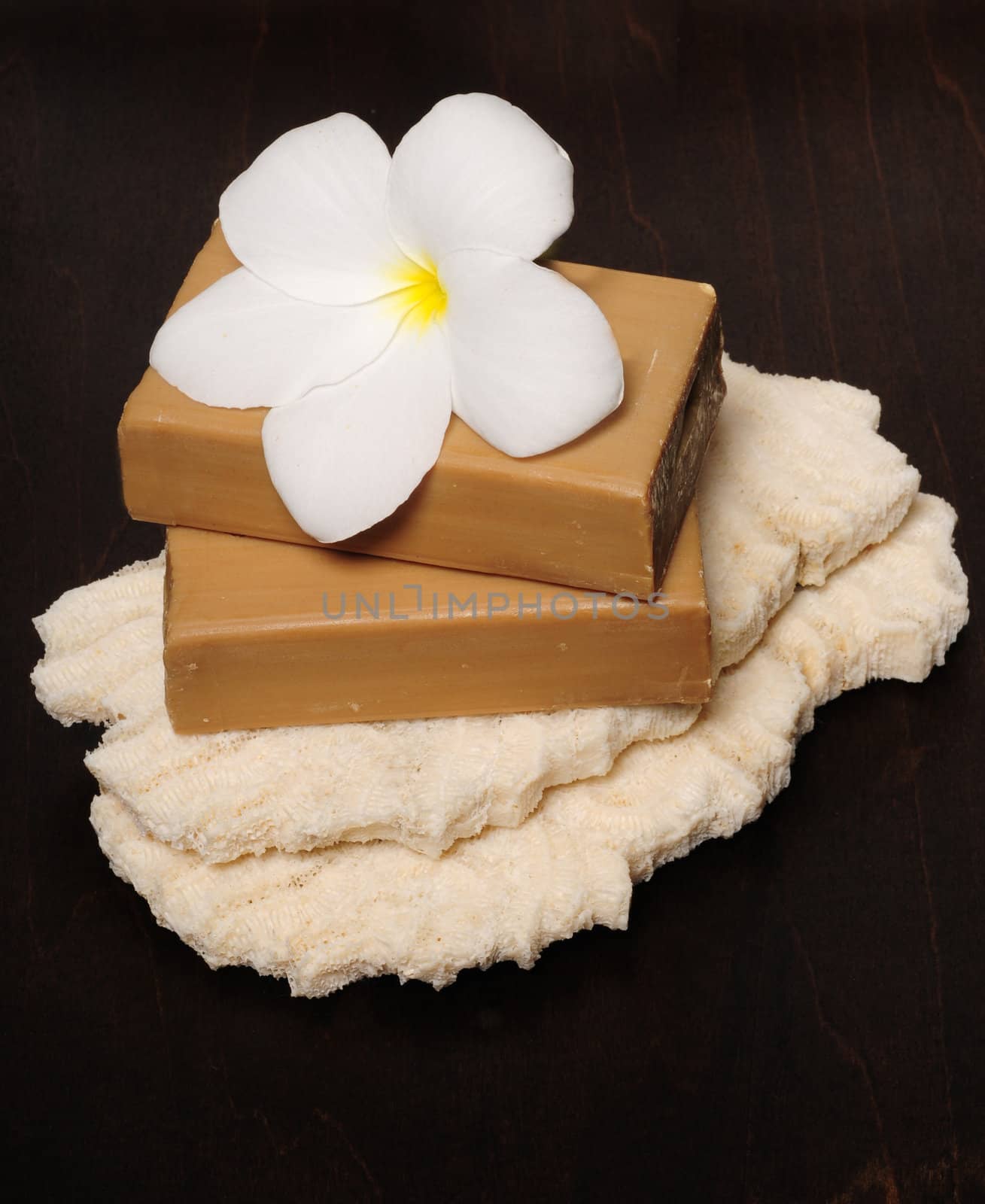 Natural green soap with frangipani flower on coral