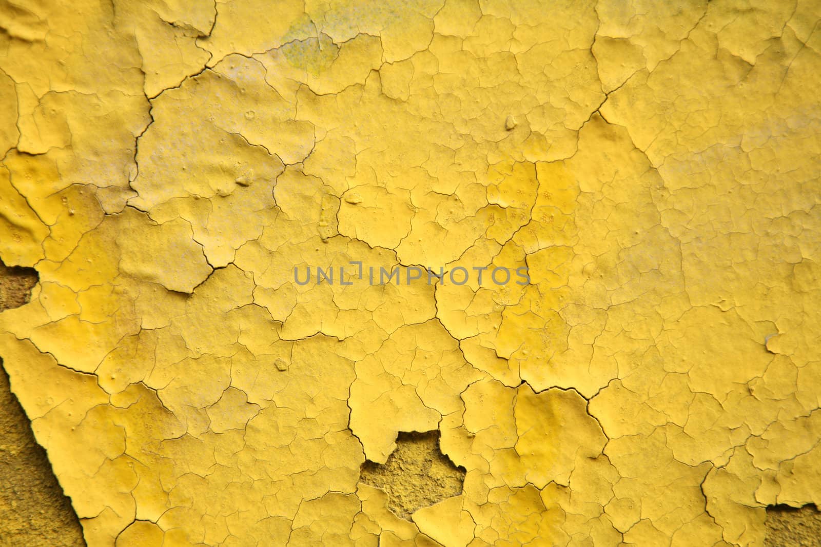 old wall of a house  yellow surface in bad condition

