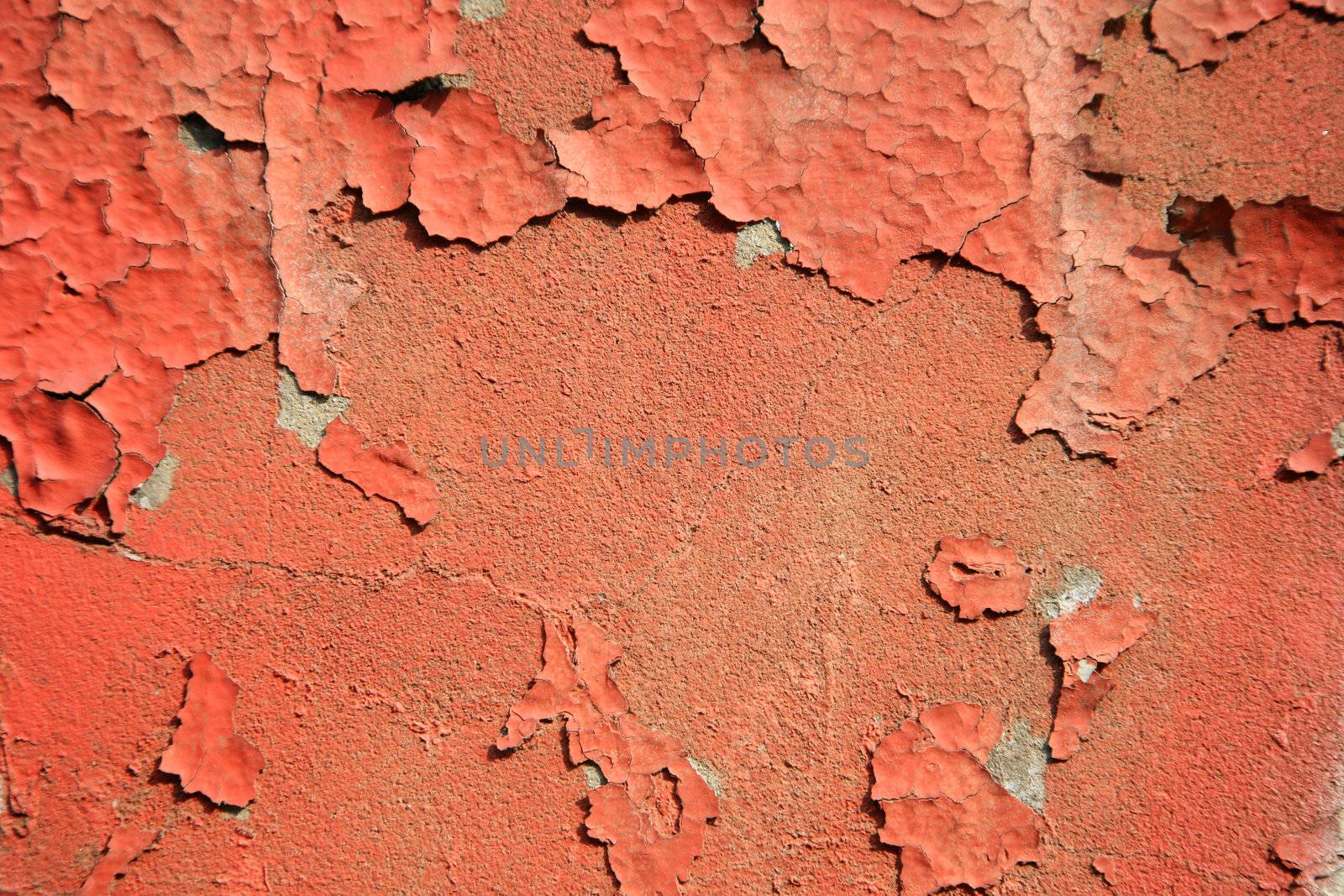 graffiti and  on an old wall
