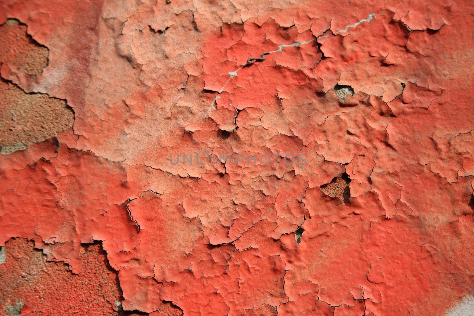 graffiti and  on an old wall