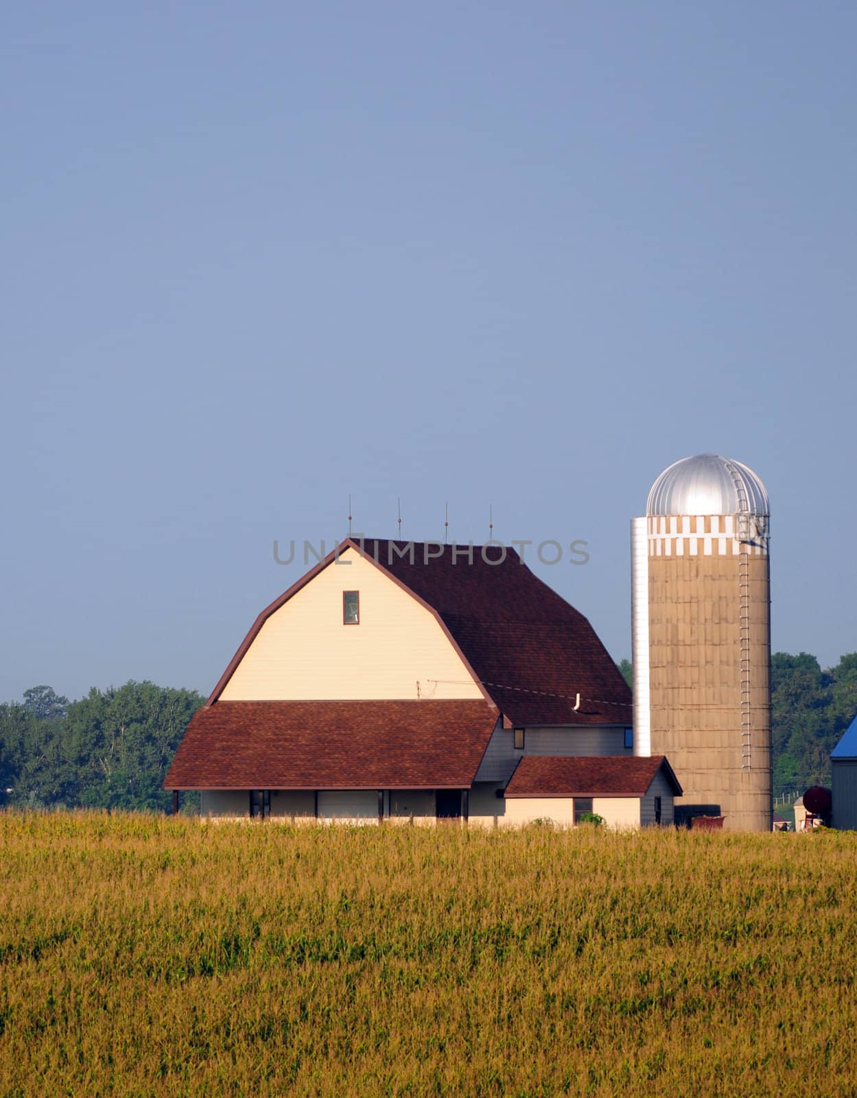 farmhouse with a barn in rural landscape