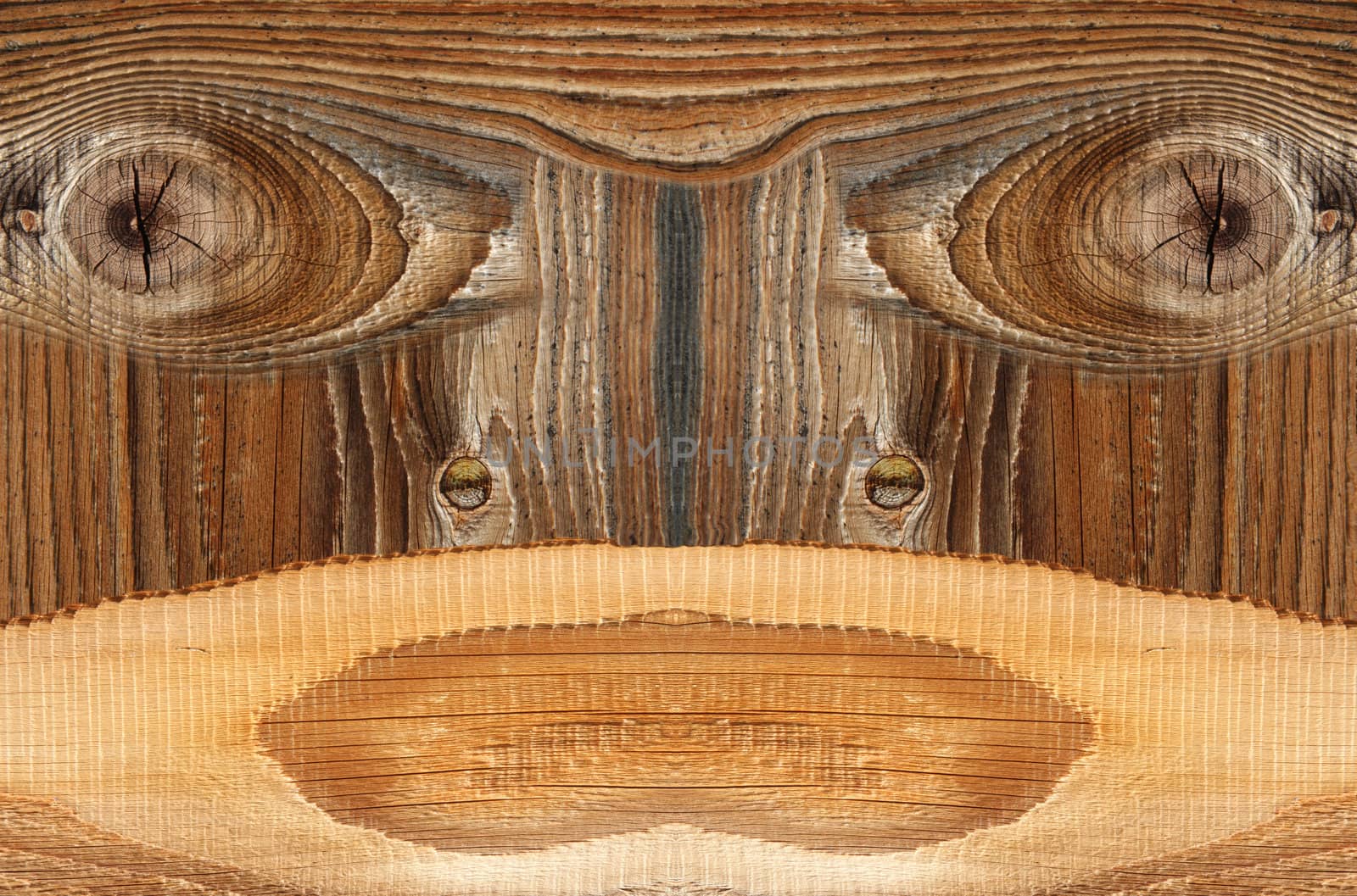 closeup on  tree with typical tree pattern