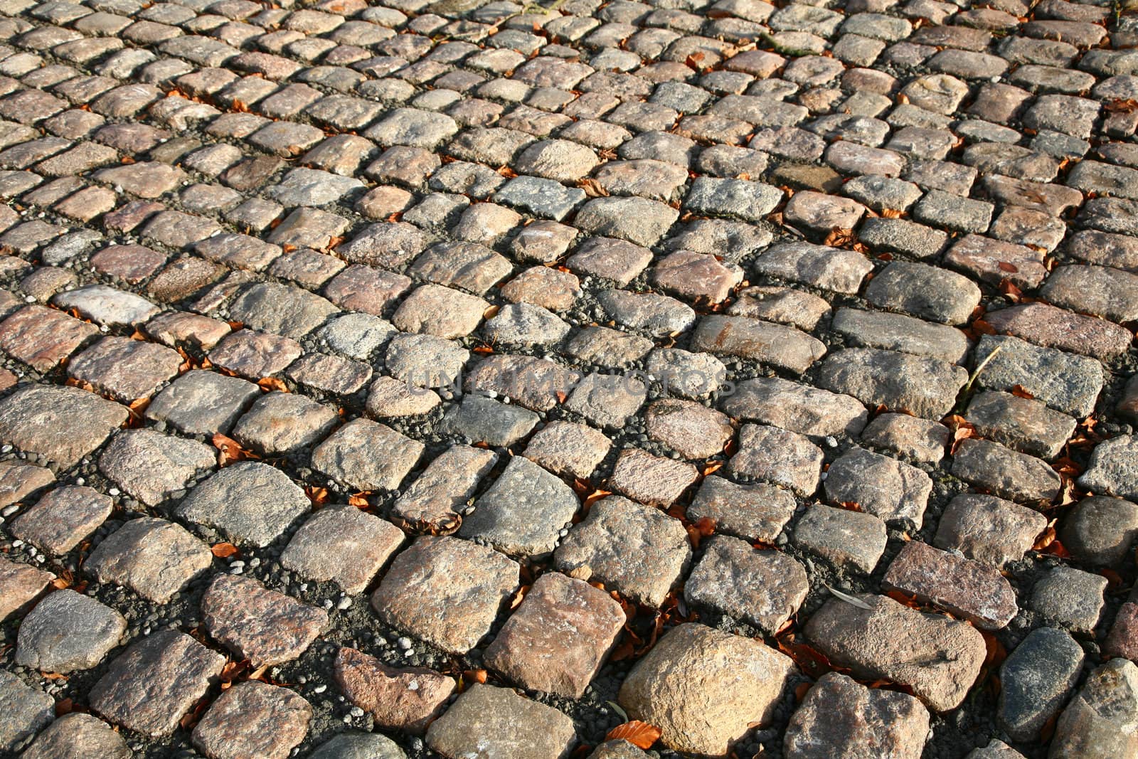 not created abstractions, curves, lines, patterns; cobble stones  street in the sun 