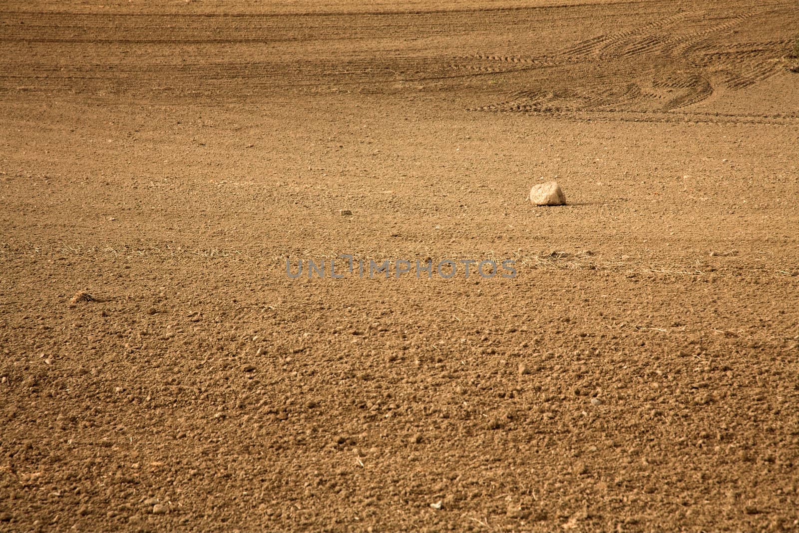  landscape in the  danish country; cultivated  field in winter