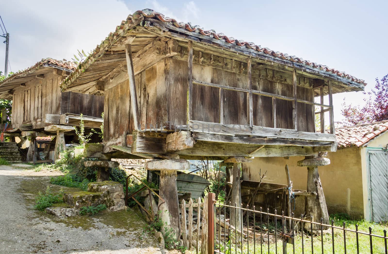 View of typical granary of Asturias, in Spain, raised by stone pillars and known as "horreo"