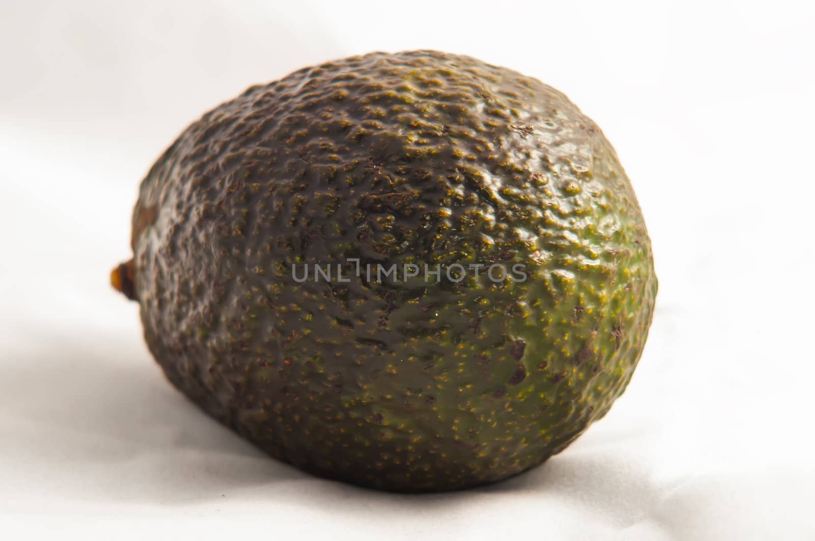 avocado isolated by digidreamgrafix