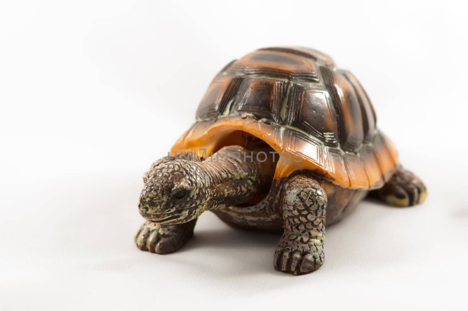 toy turtle by digidreamgrafix