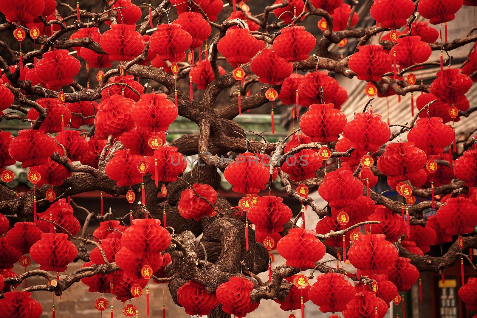 Lucky Red Lanterns Chinese Lunar New Year Decorations Ditan Park by bill_perry