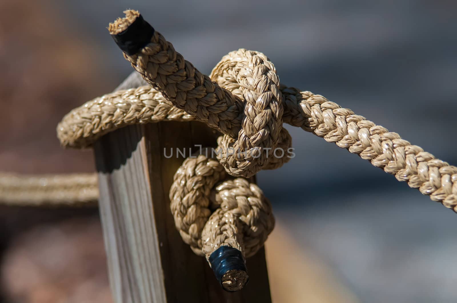 rope knot by digidreamgrafix