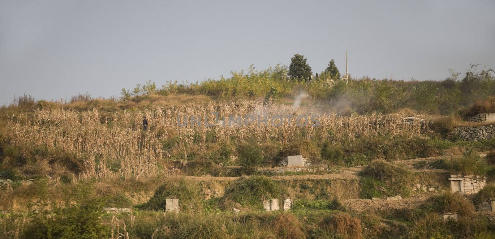 Peasants often bury their relatives in the fields in China.  Peasant is burning his fields in Guizhou China with graves of his relatives around him.