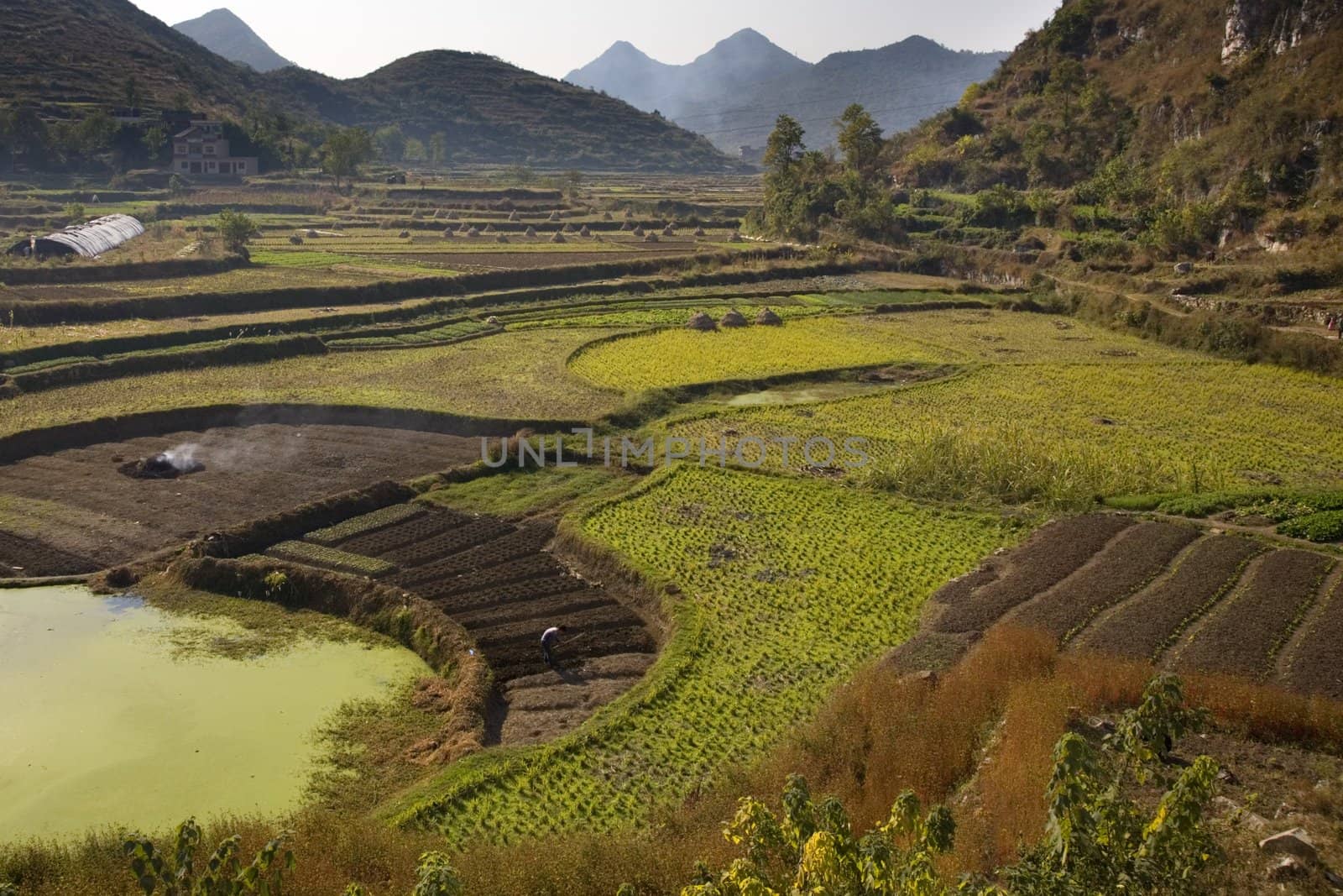 Chinese Peasant Working Fields, Guizhou, China by bill_perry