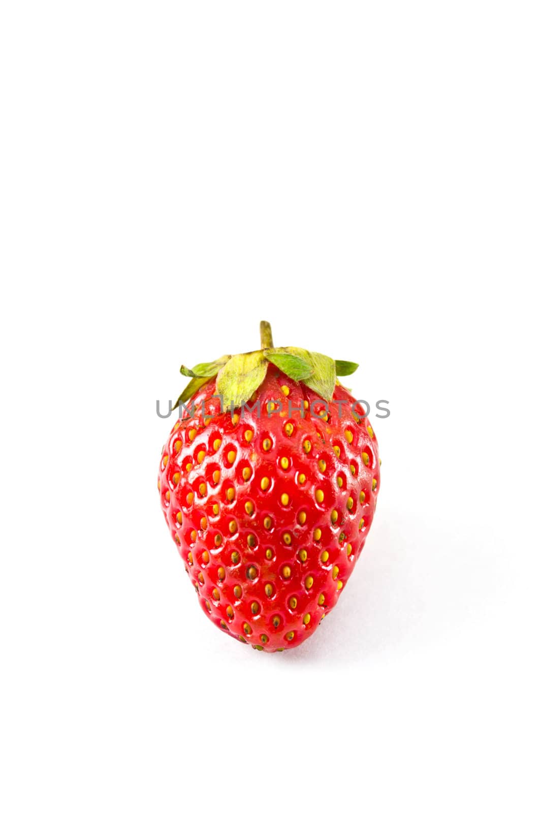 strawberries placed on a white background
