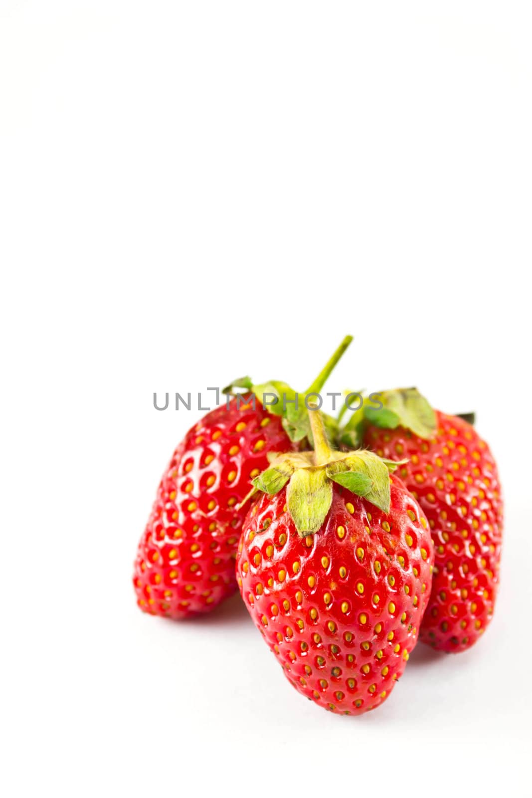 strawberries placed on a white background