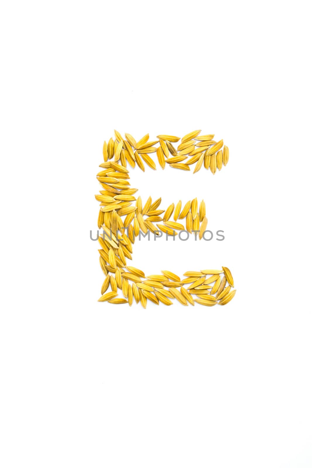 E letter of rice on a white background