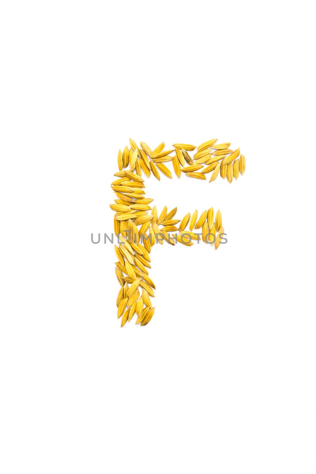 F letter of rice on a white background