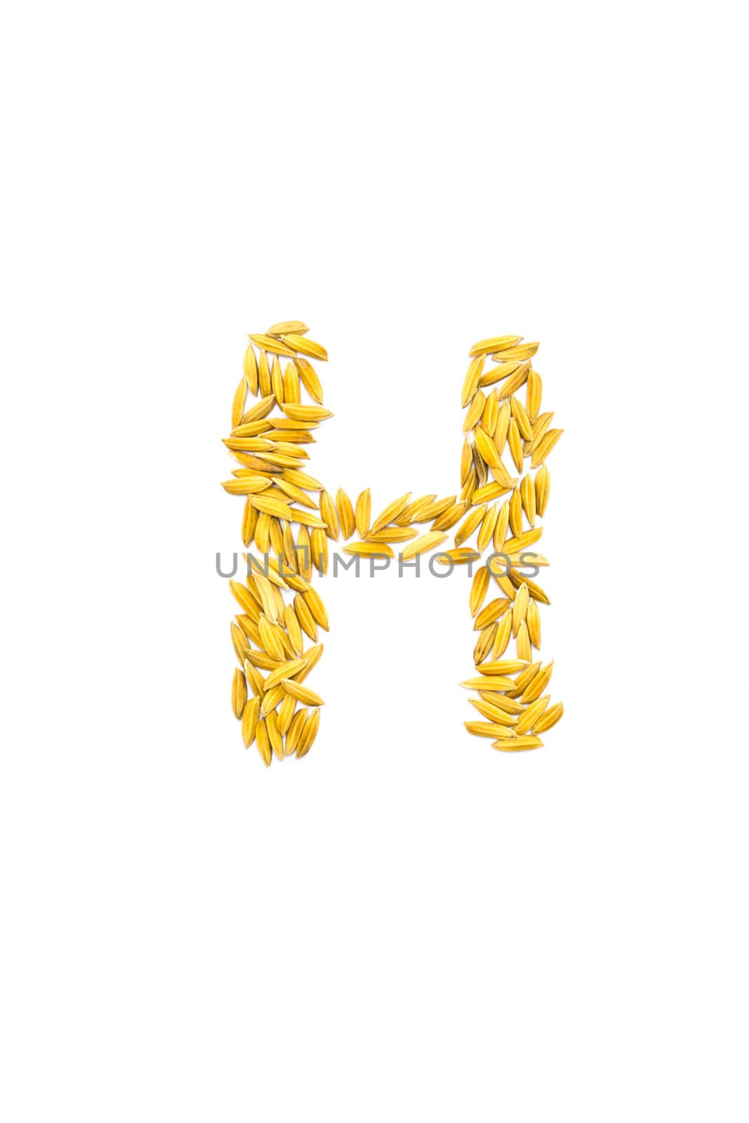 H letter of rice on a white background