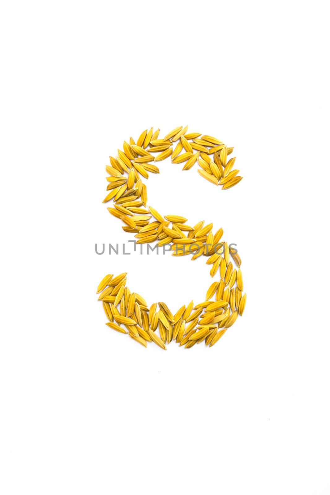 S letter of rice on a white background
