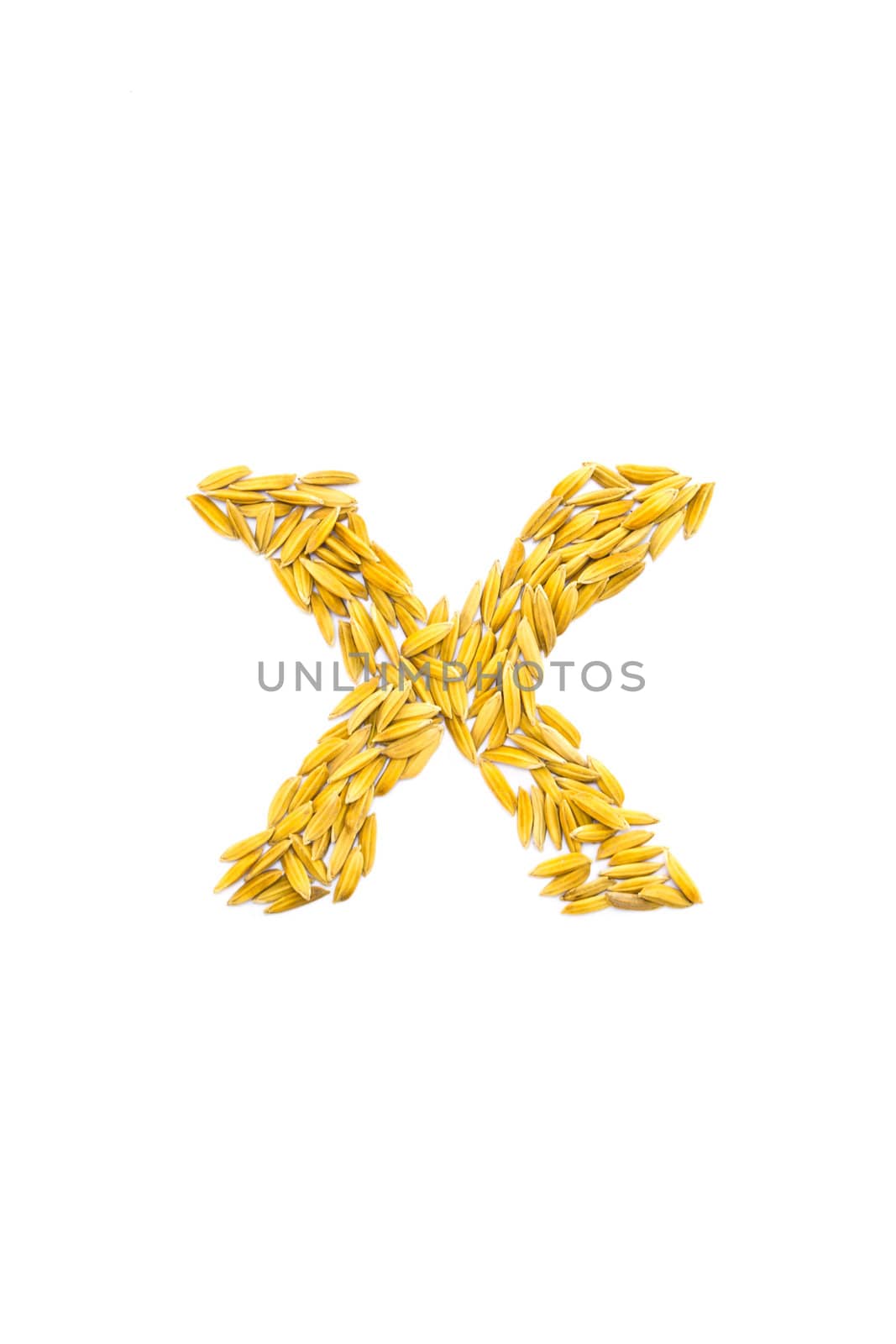 X letter of rice on a white background