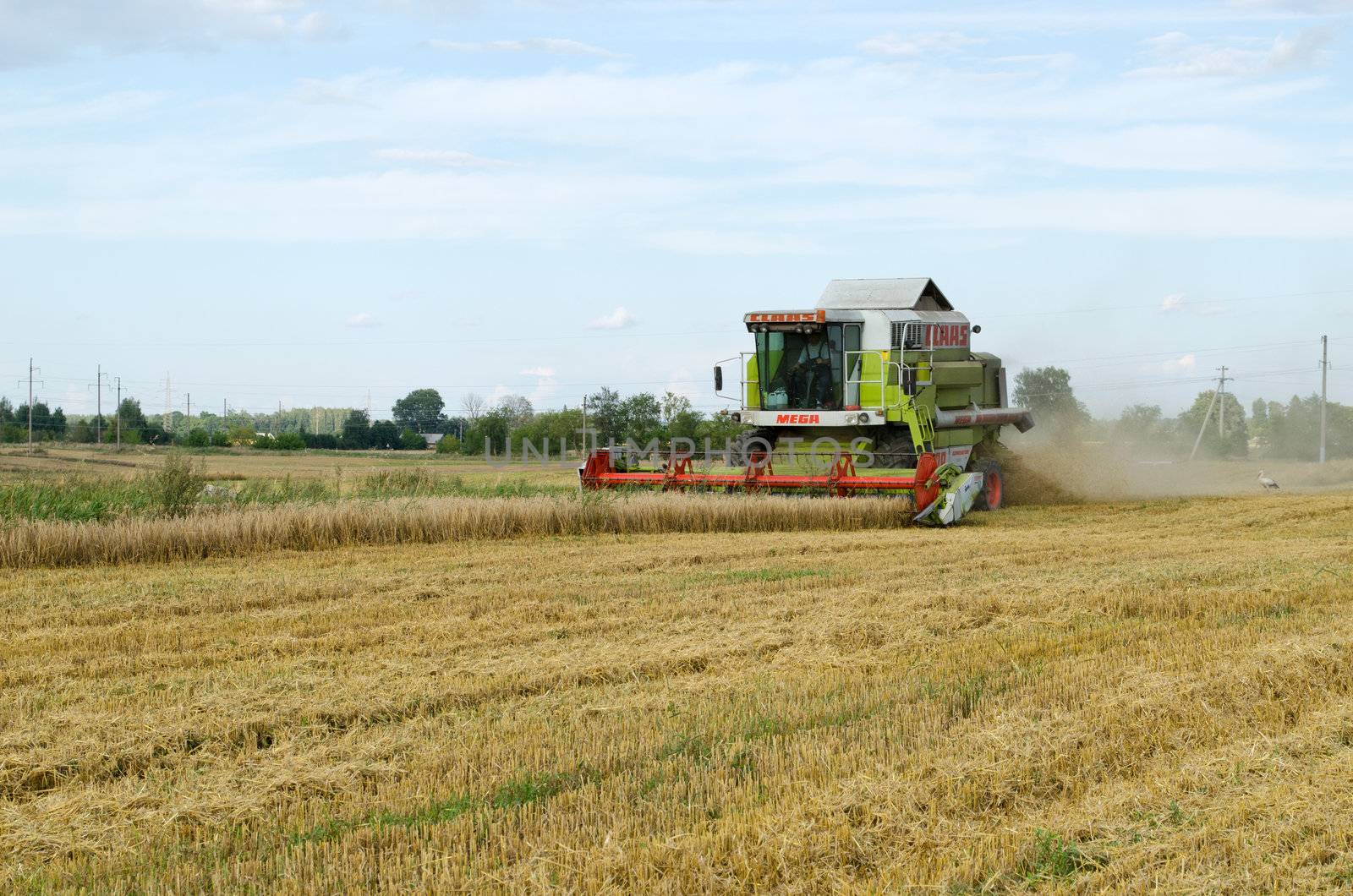 combine tractor harvest wheat agriculture field by sauletas