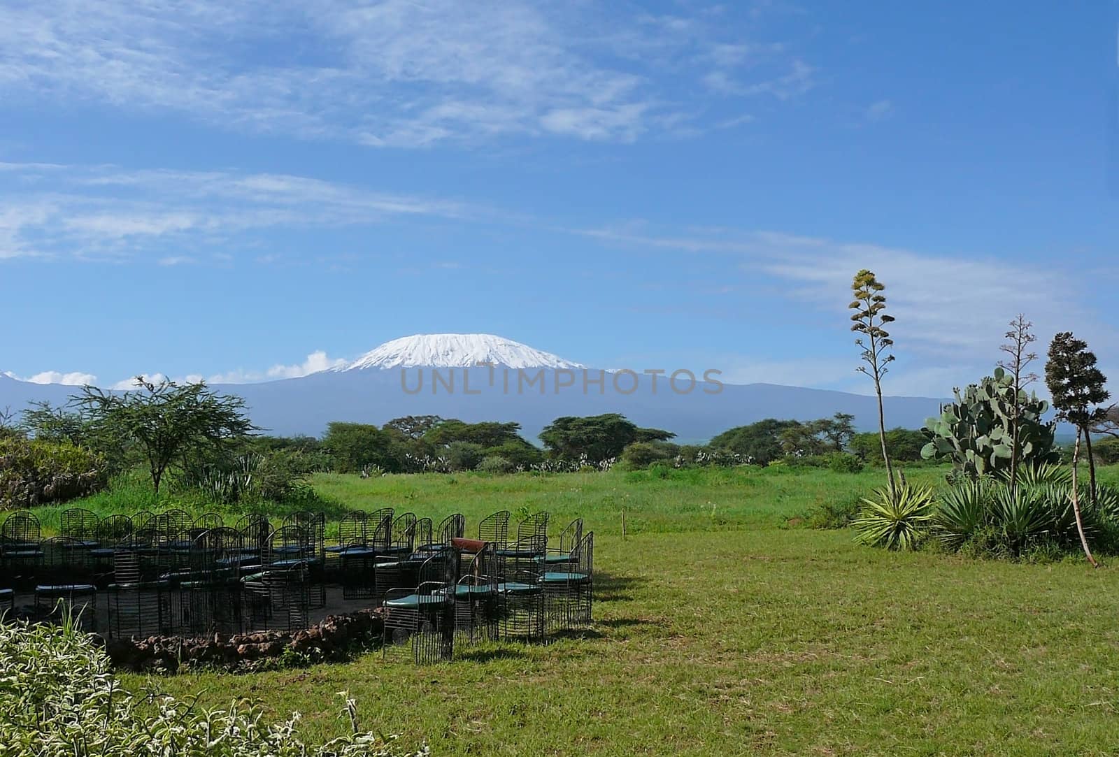 Landscape with snow-covered peak of Kilimanjaro in Kenya