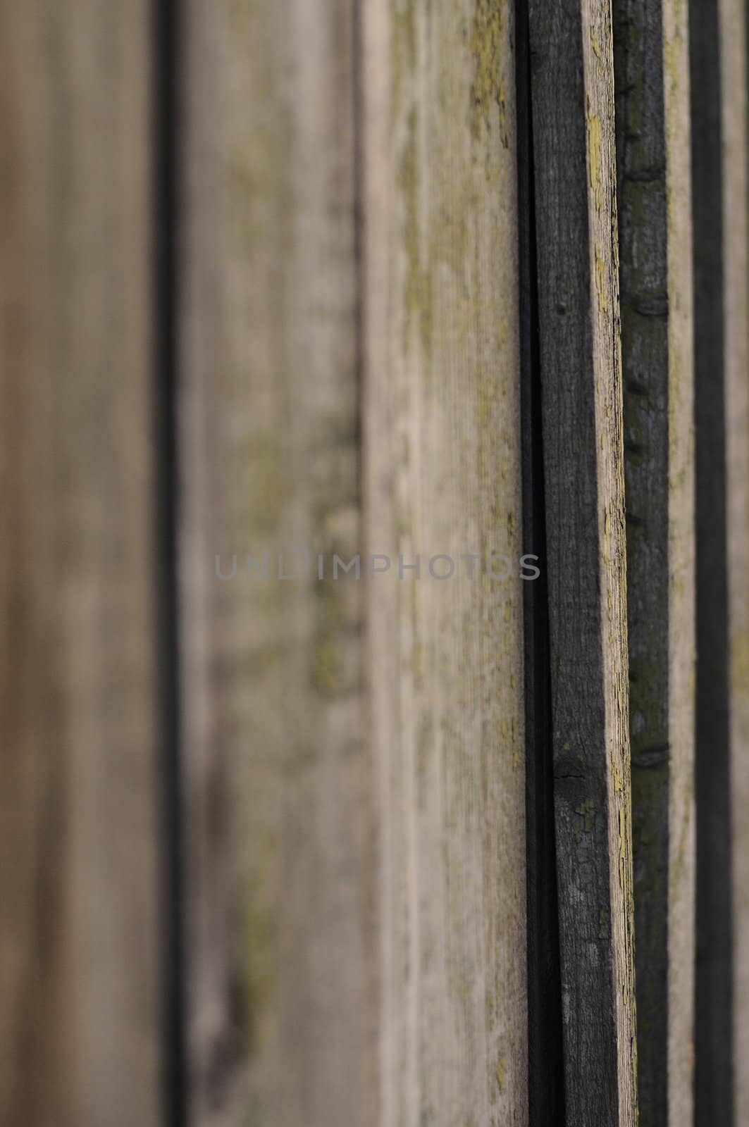 Wooden fence macro