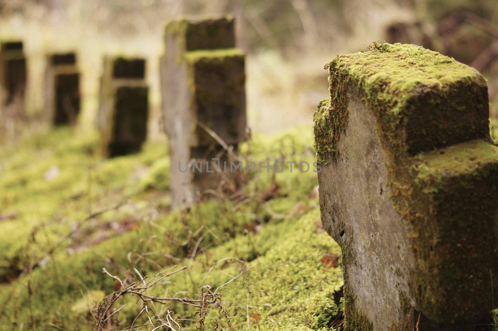 Christian cemetery stones autumn season