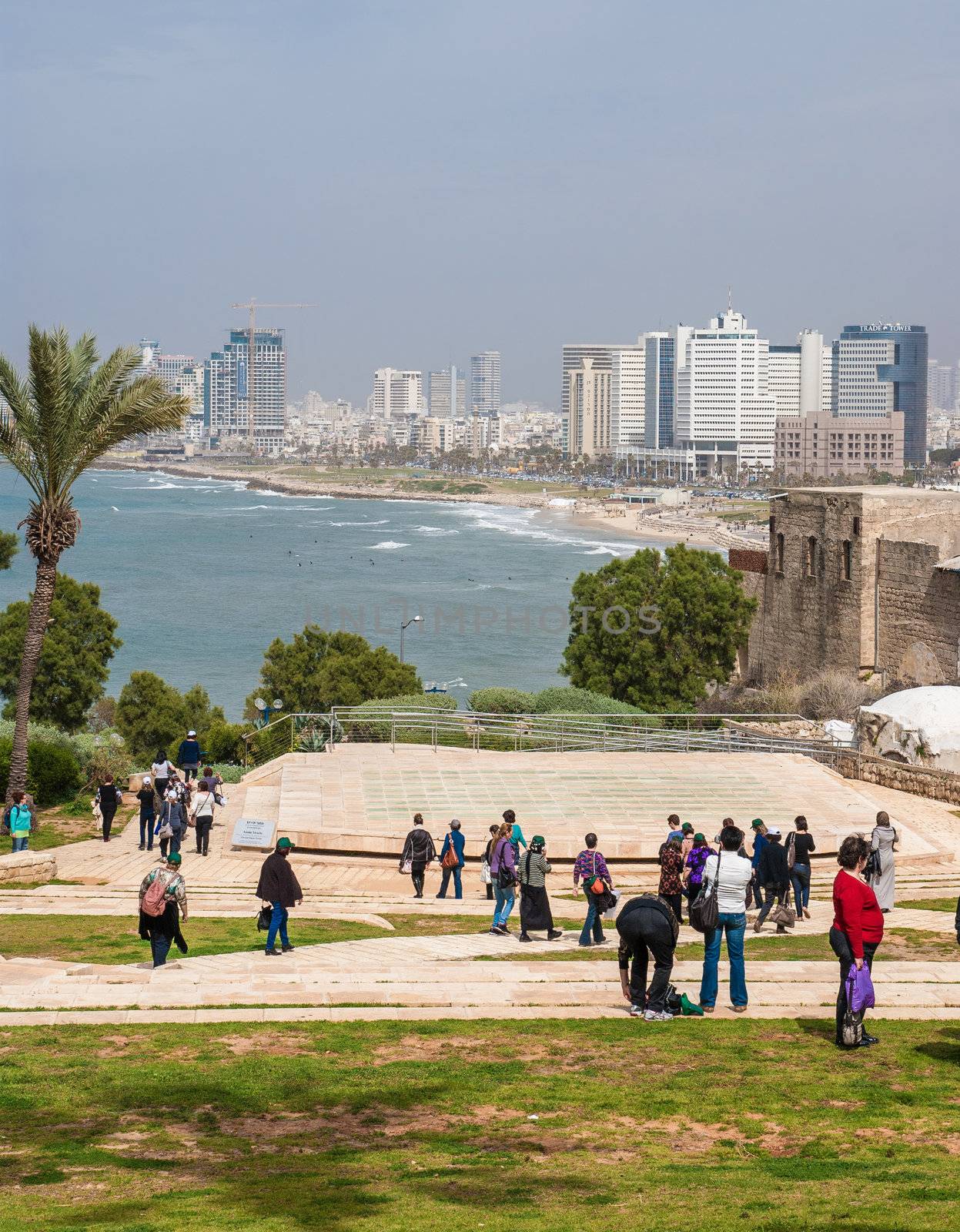 Tel-Aviv beach panorama. Jaffa. Israel. by Zhukow