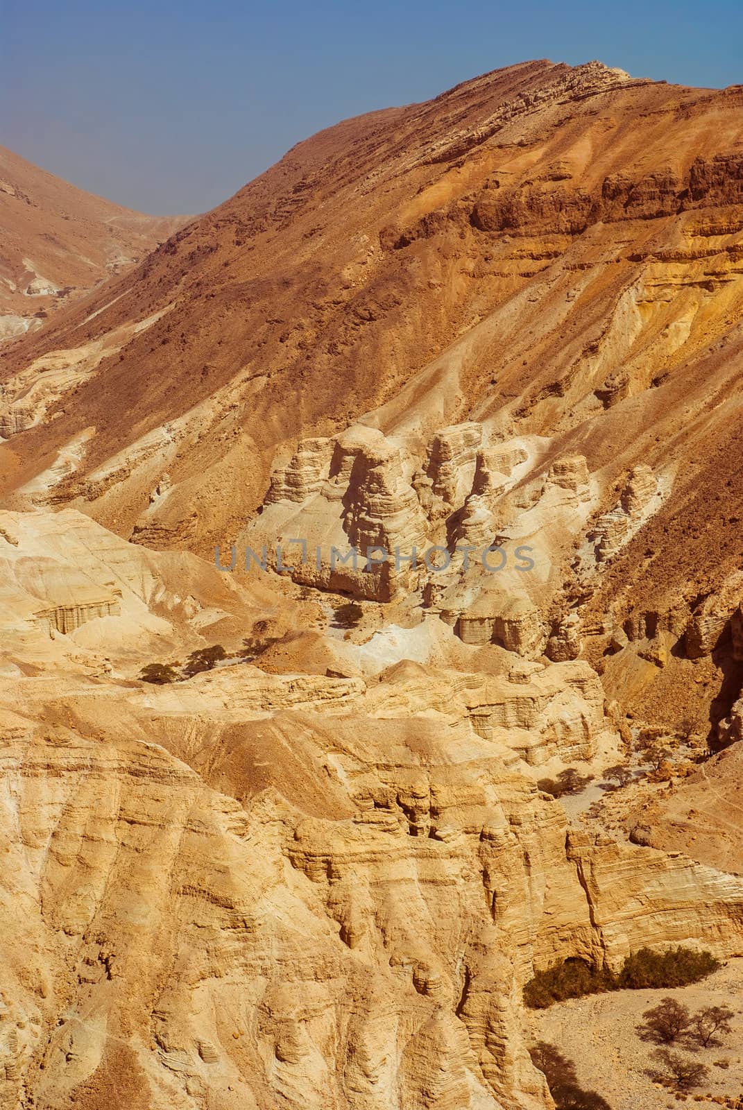 Fragment of the Judean desert near the shore of the Dead Sea.