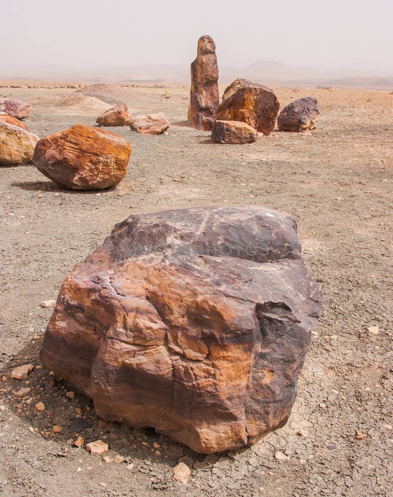 Stones in the Crater Mizpe Ramon - Negev desert by Zhukow