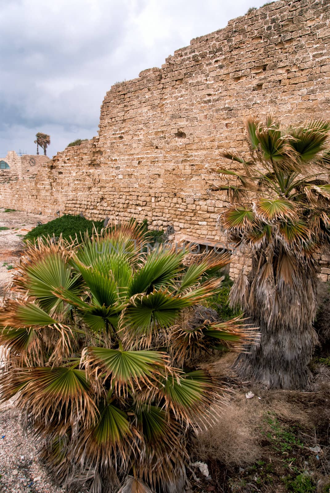 Ruins of the ancient Romanian harbor, Caesarea, Israel .