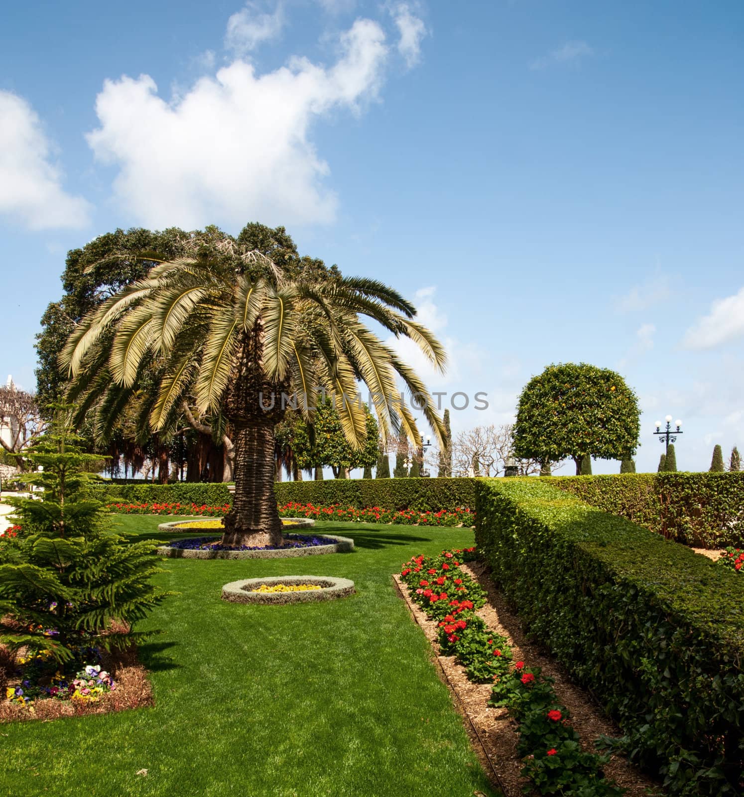 fragment of famous Bahai gardens in Haifa, Israel by Zhukow