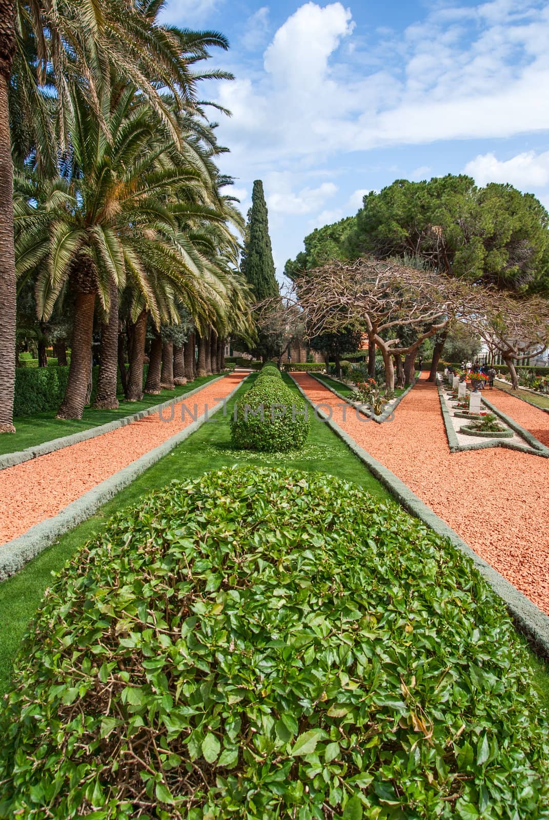 fragment of famous Bahai gardens in Haifa, Israel by Zhukow