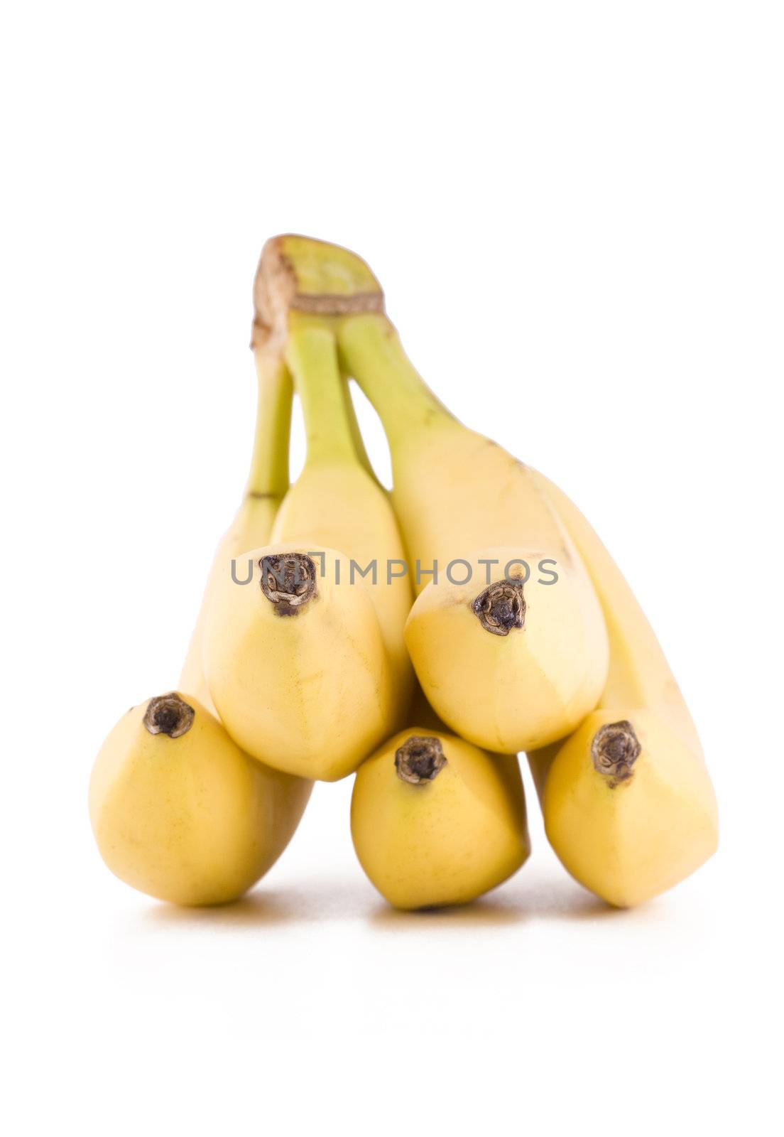 Bunch of five bananas by Gbuglok