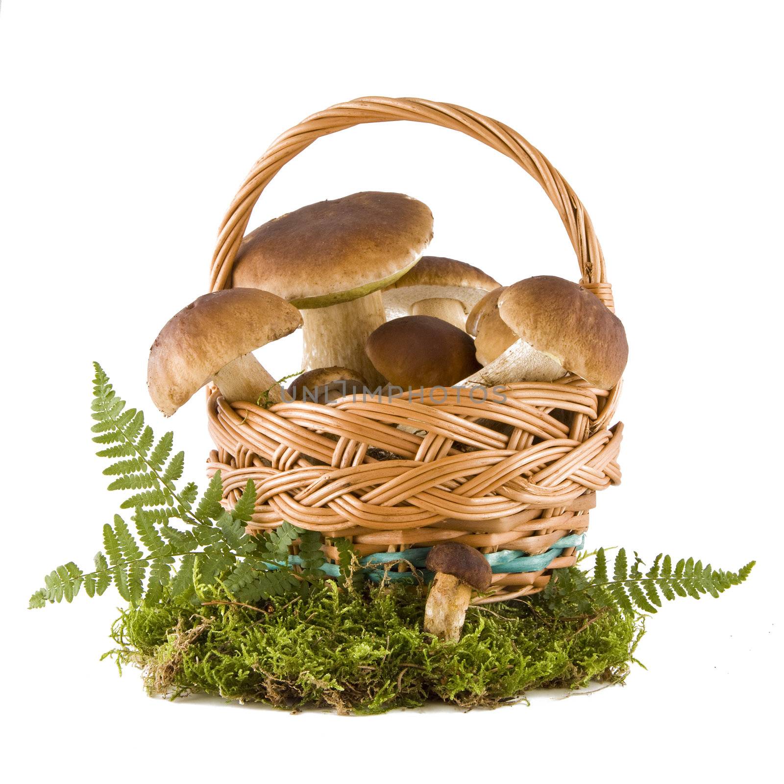 Boletus mushrooms in a basket by Gbuglok