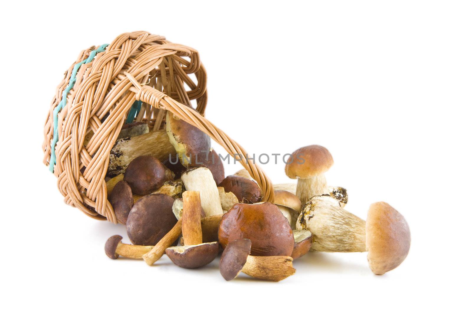 Boletus mushrooms with a wicker basket isolated on white background