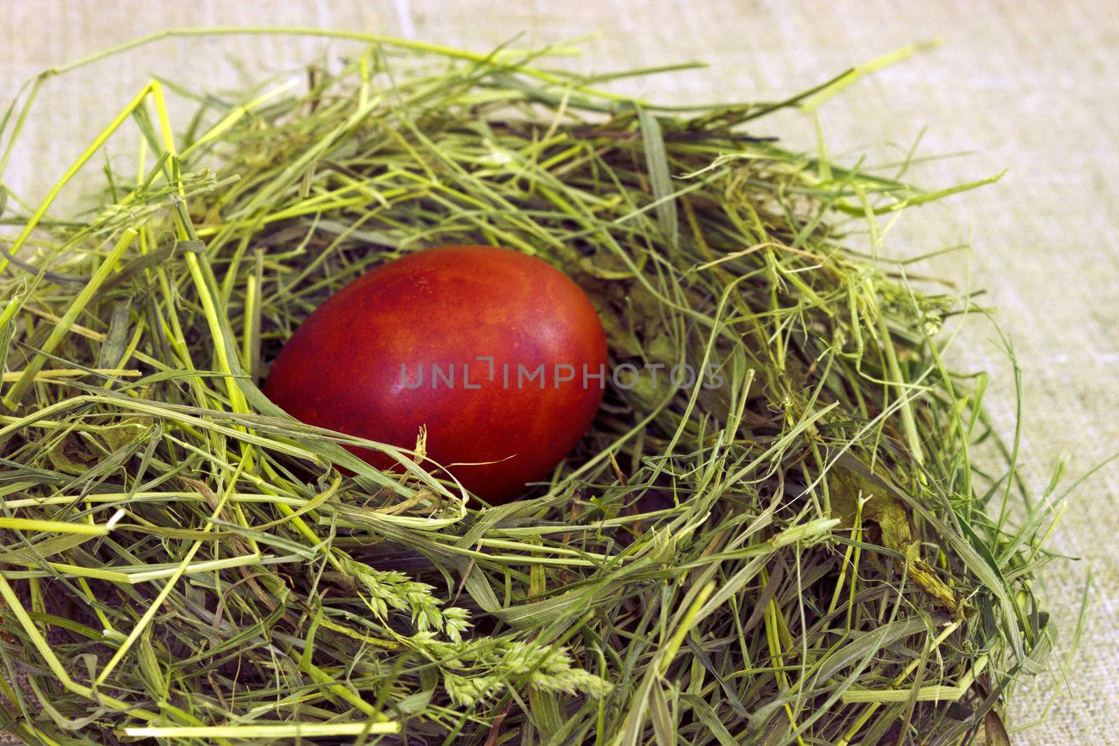 Easter still life. Egg in a nest of hay