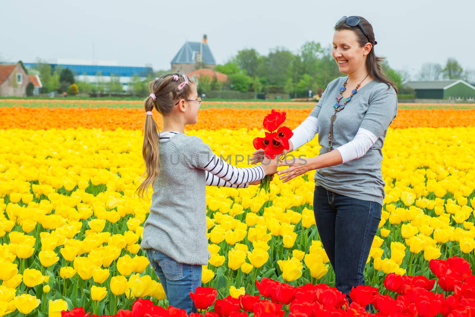 Girl and her mother with bouquet between of the yellow-red tulips field