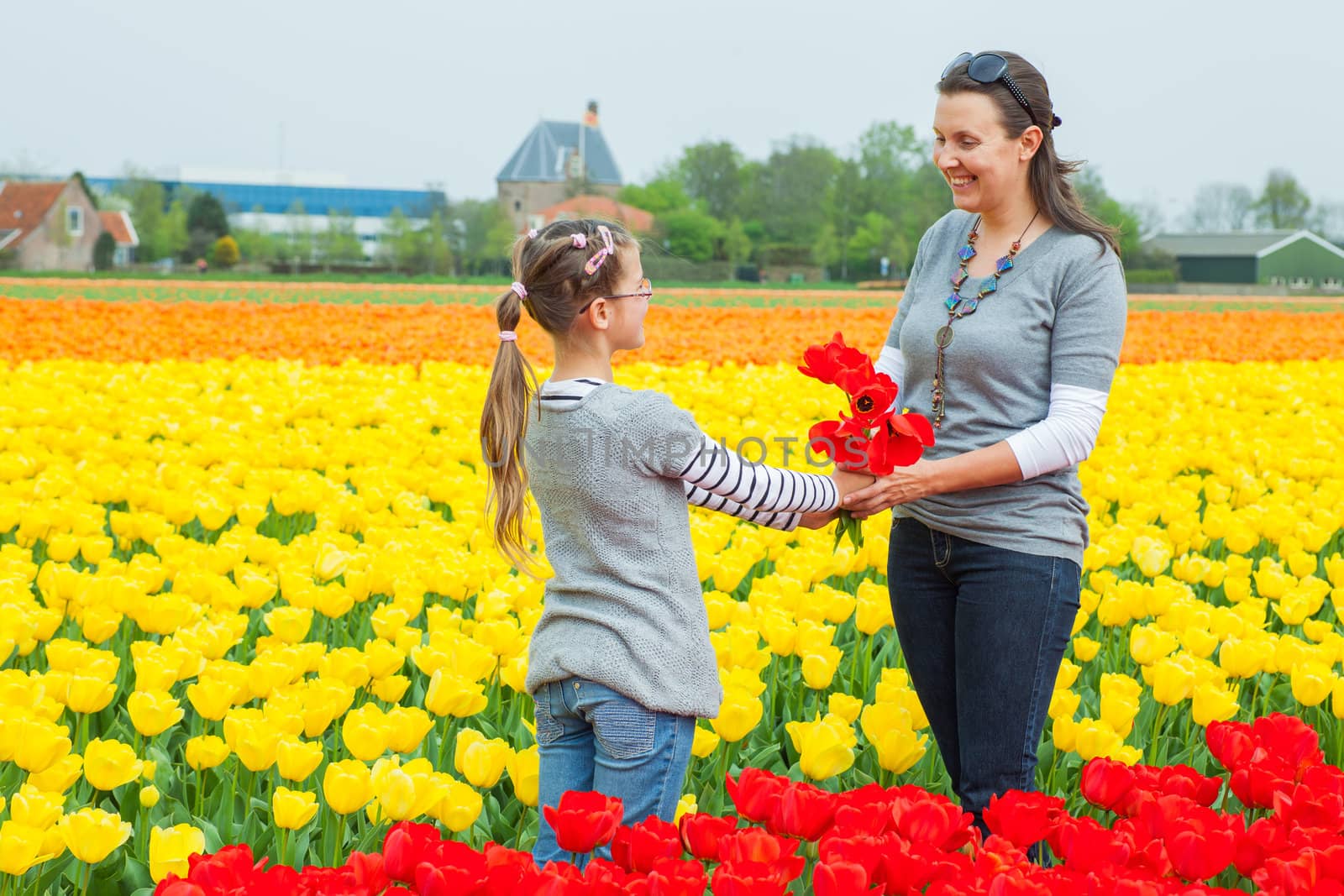 Girl and her mother with bouquet between of the yellow-red tulips field